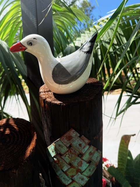 images/RS SEAGULL2.jpg